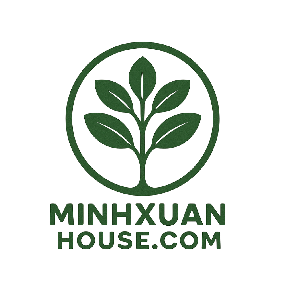 Minh Xuan House